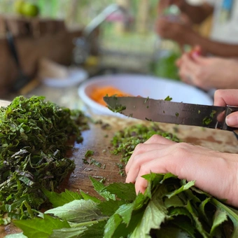 Trilhas e sabores: Uma vivência sensorial na Mata Atlântica