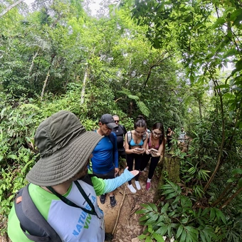 Experiência Sensorial na Mata Atlântica